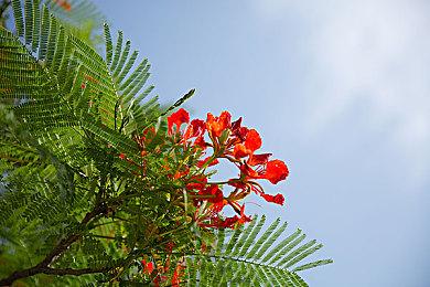 《星空》高清重制MOD 1.0版本上线 视频对比